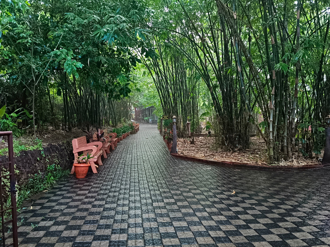 Treebo Trend Rock Valley主图