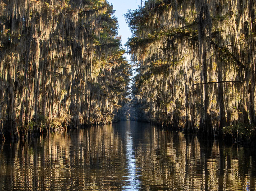 Caddo Lake Bayou Tours-Uncertain必去景点
