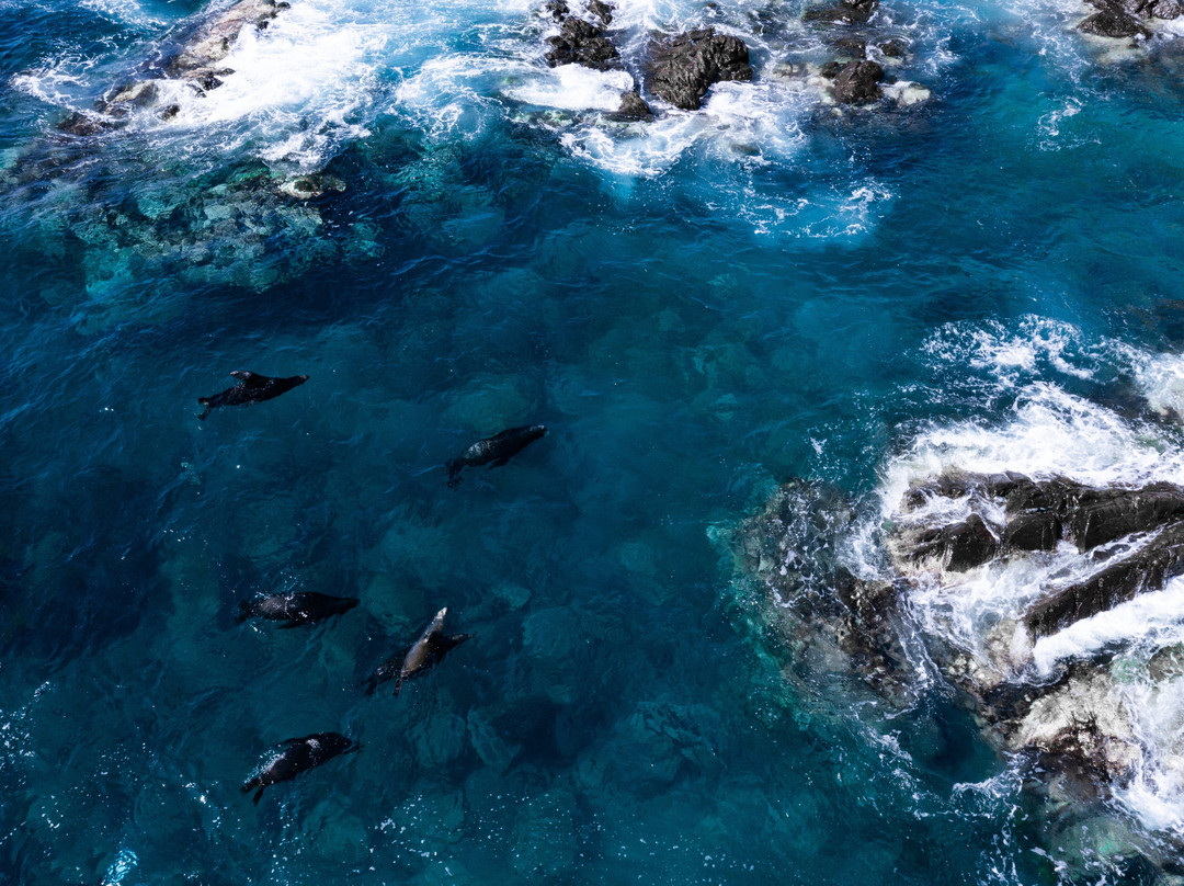 Sea Lions Dive Center-拉巴斯必去景点