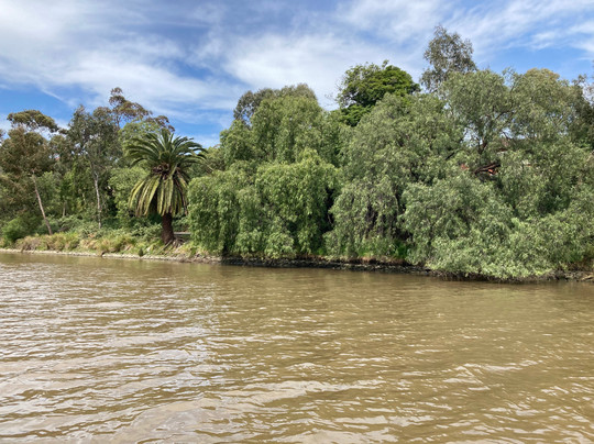 Yarra River Cruises-墨尔本必去景点