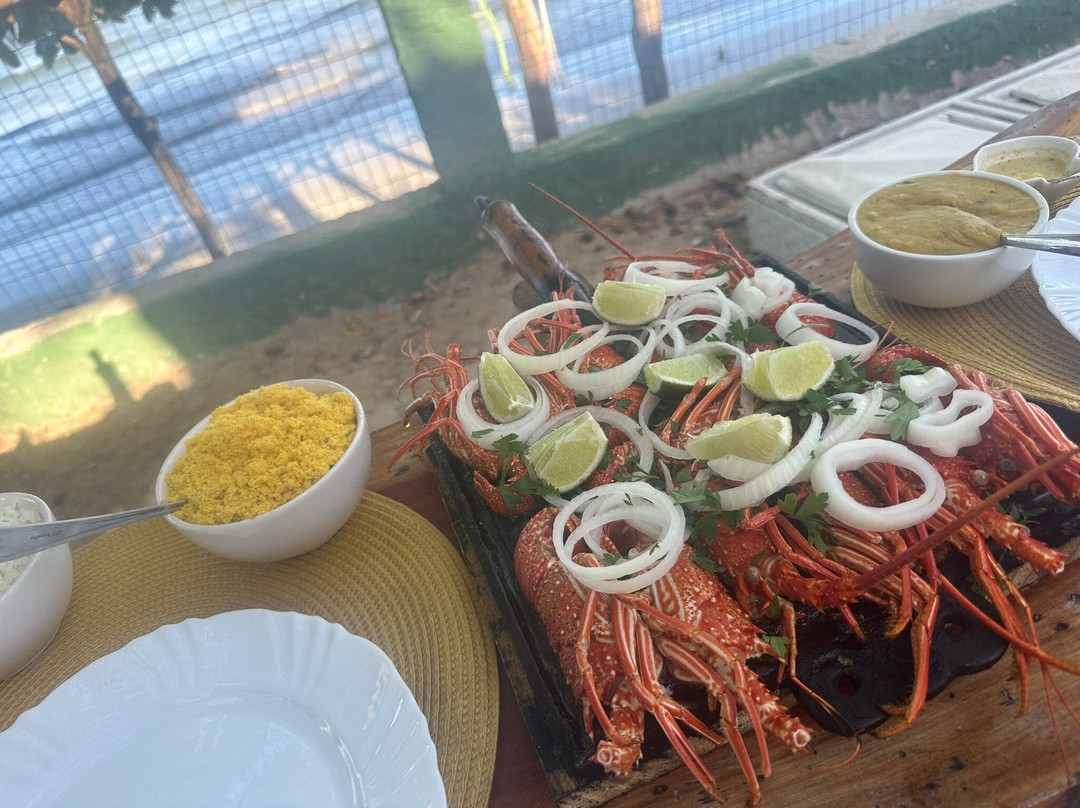 Caranguejo Da Teresa