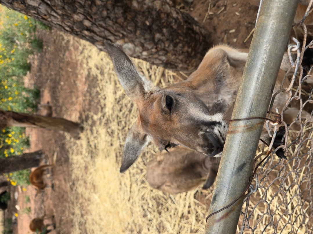 Greenough Wildlife & Bird Park-Greenough必去景点