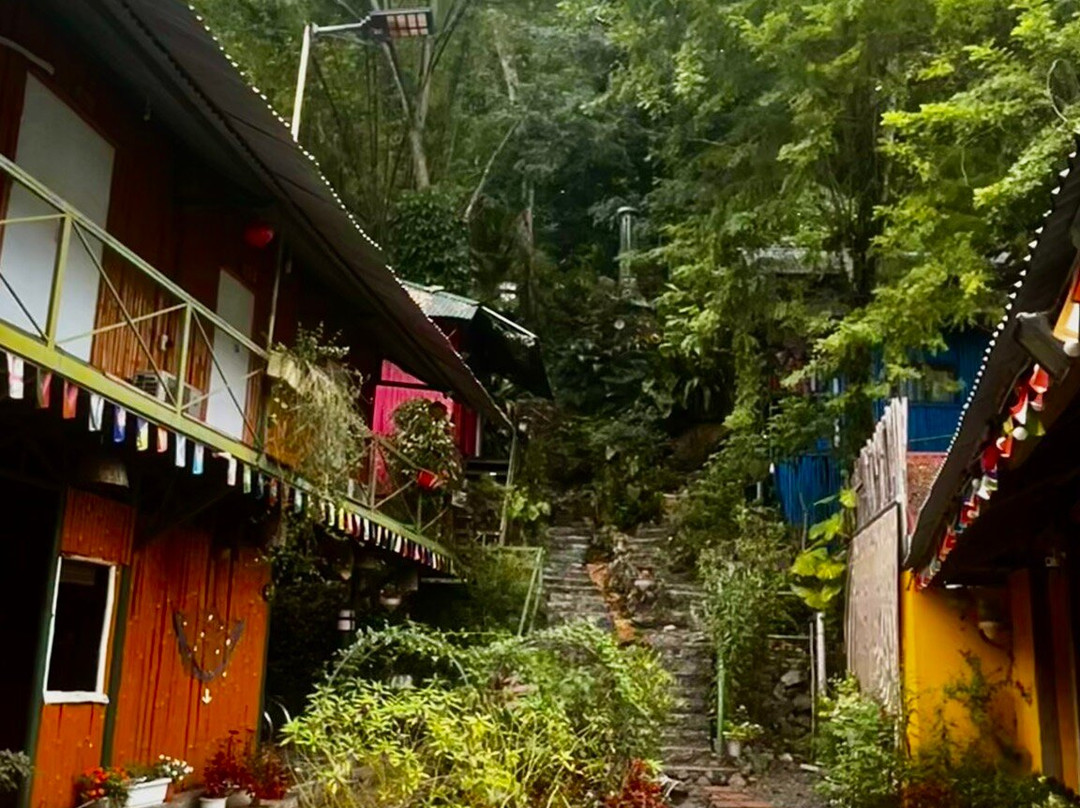 Ha Giang Green Hill Hostel & Tour主图