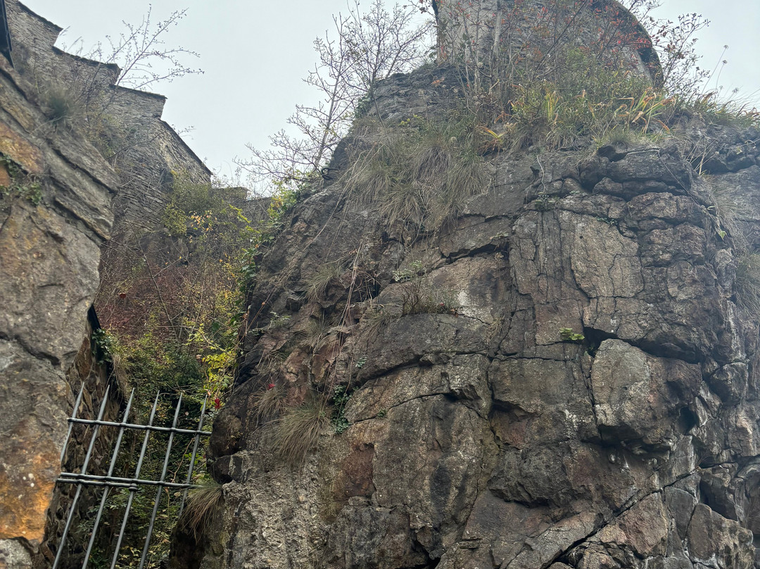 Veste Niederhaus景点图片