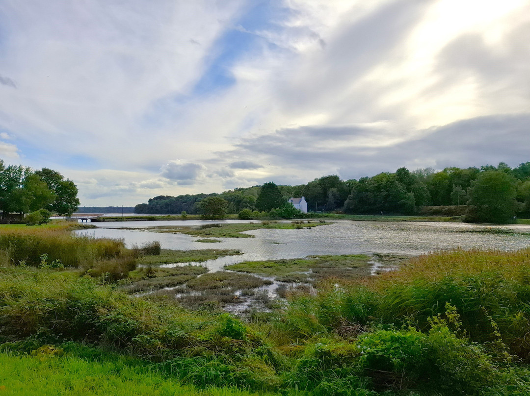 Promenades Et Randonnées À Nostang