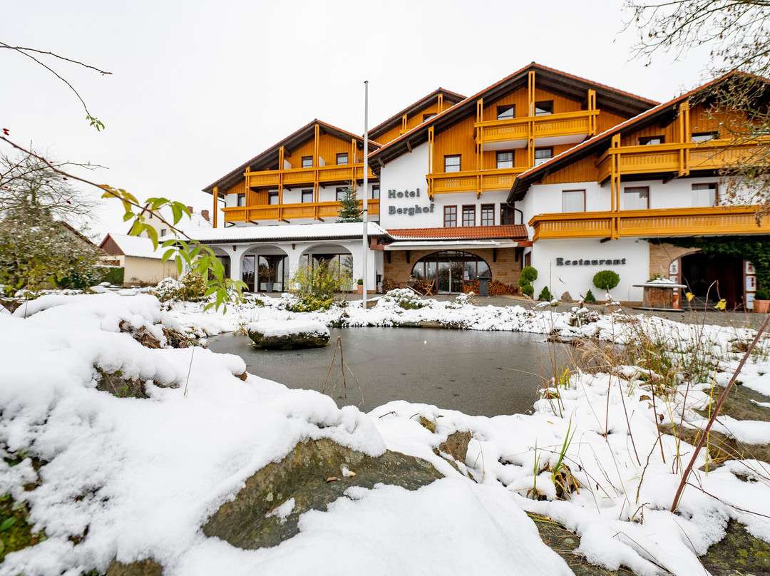Berghof主图
