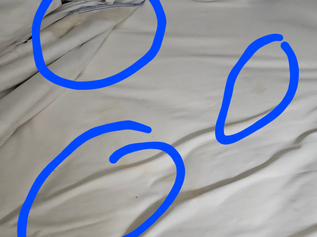 Lone Star Inn & Suites主图