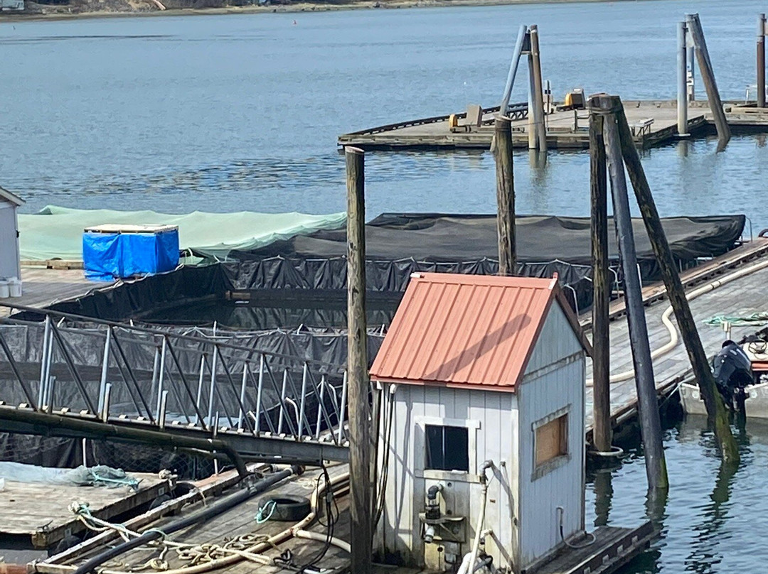 Dipac's Macaulay Salmon Hatchery-朱诺必去景点