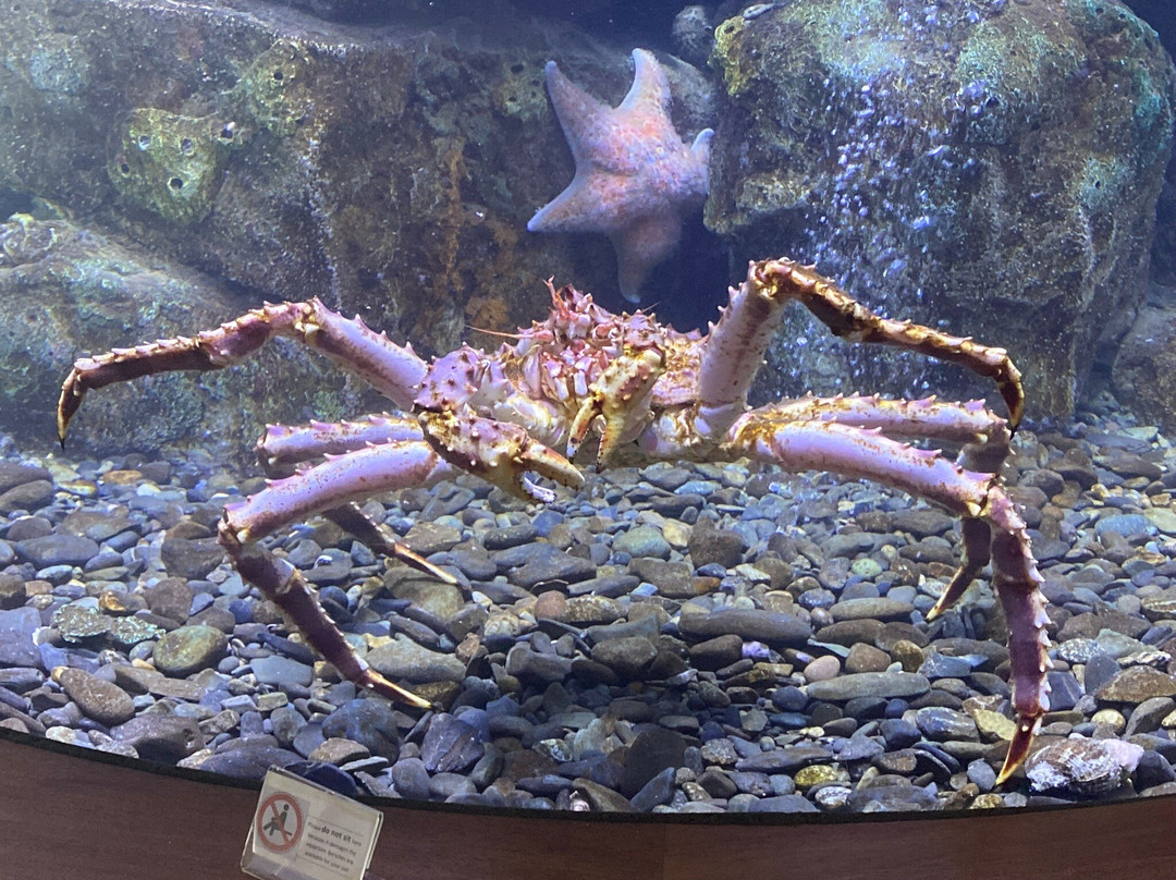 Dipac's Macaulay Salmon Hatchery-朱诺必去景点