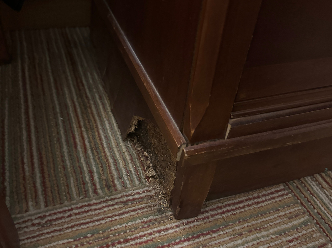 Hampton Inn Raleigh-Capital Boulevard North主图