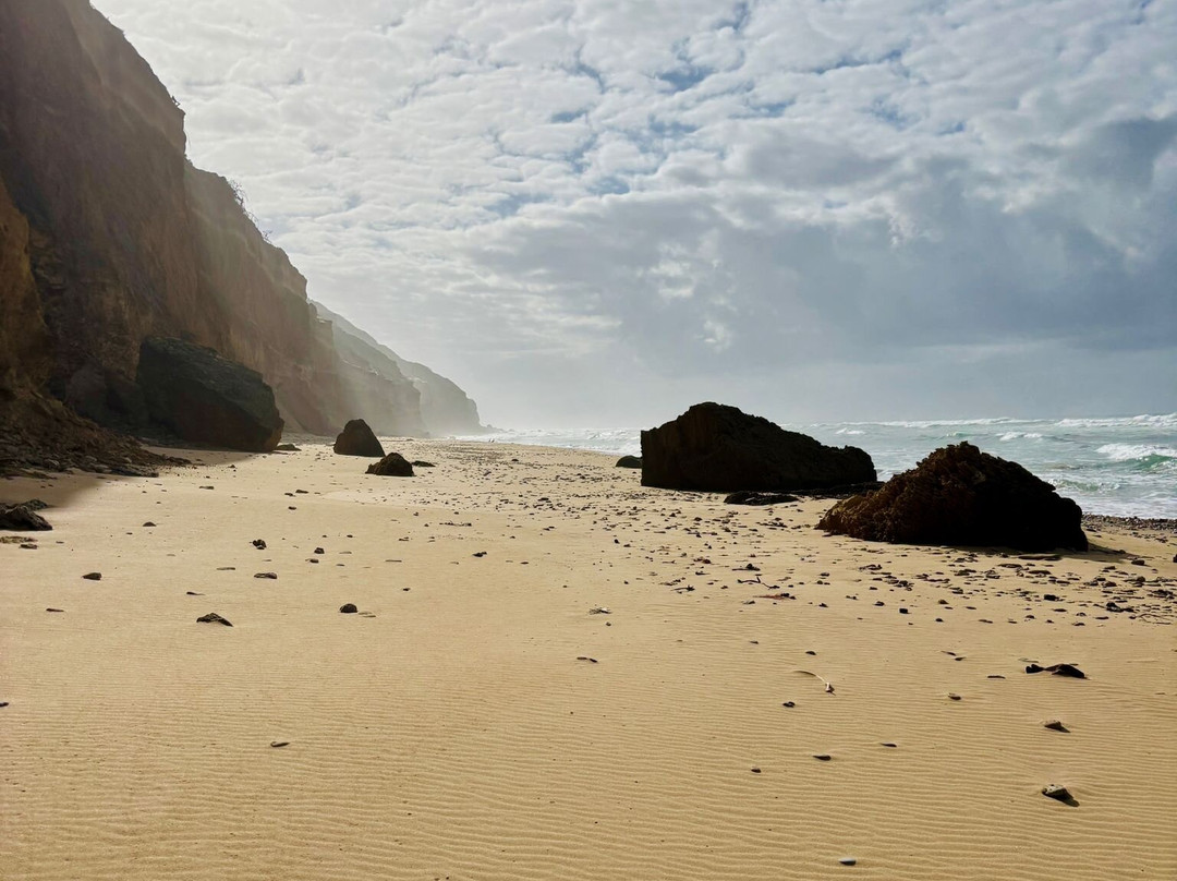 Alexandria Hiking Trails-Addo Elephant National Park必去景点