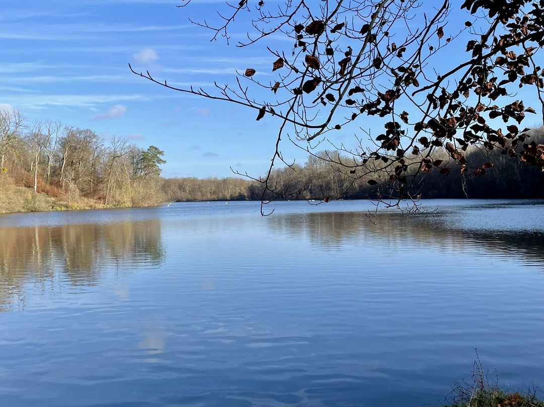 Hotel Le Chantilly主图