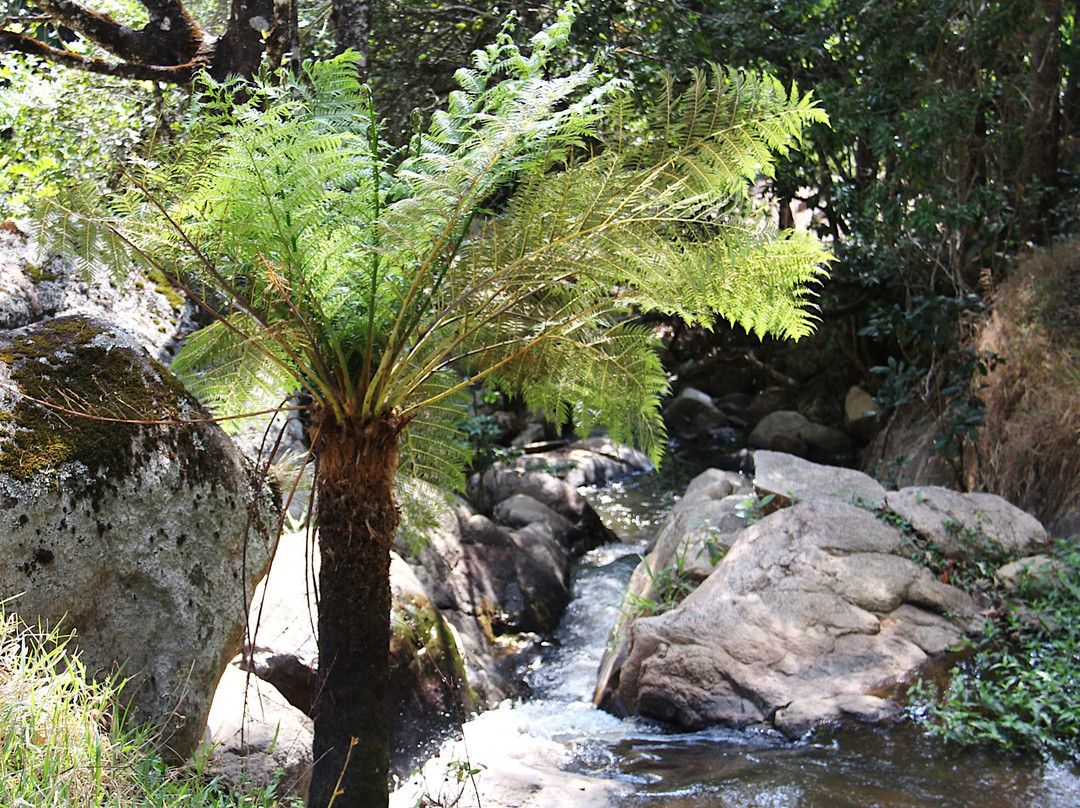 Cachoeira do Tabuao-Ouro Fino必去景点