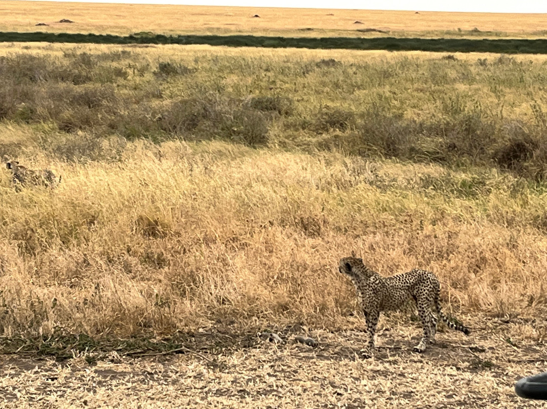 Evans Adventure Safaris-莫西必去景点