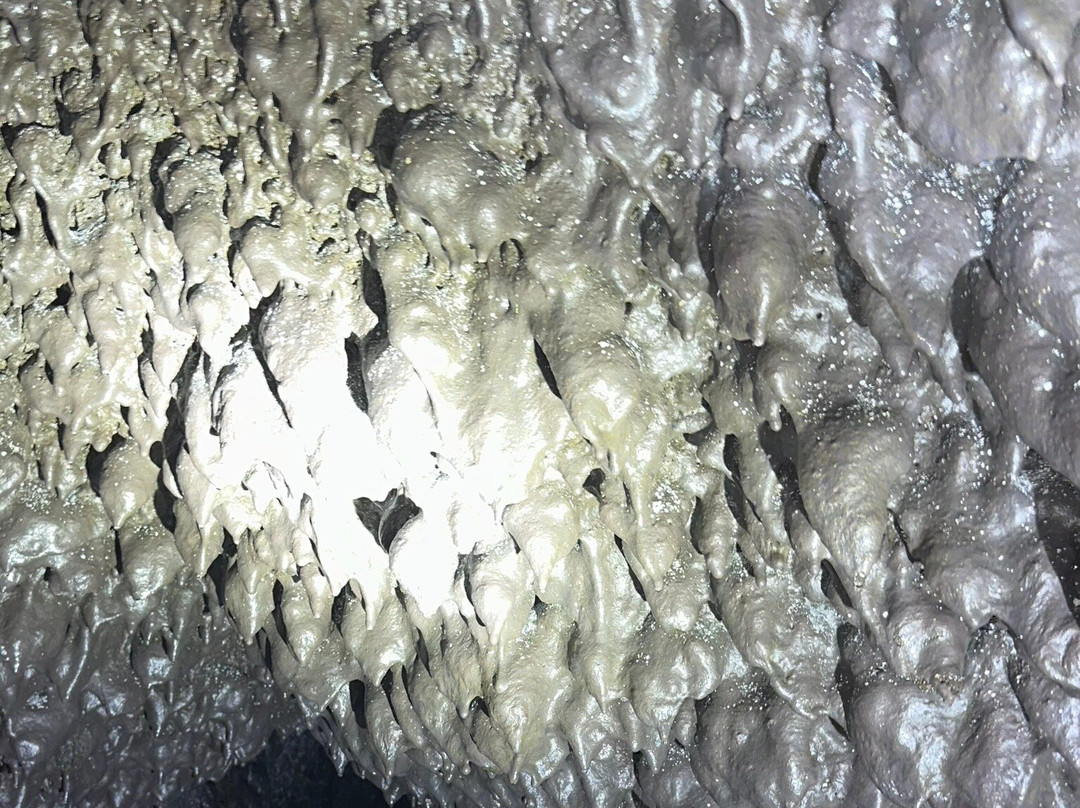 Hana Lava Tube景点图片