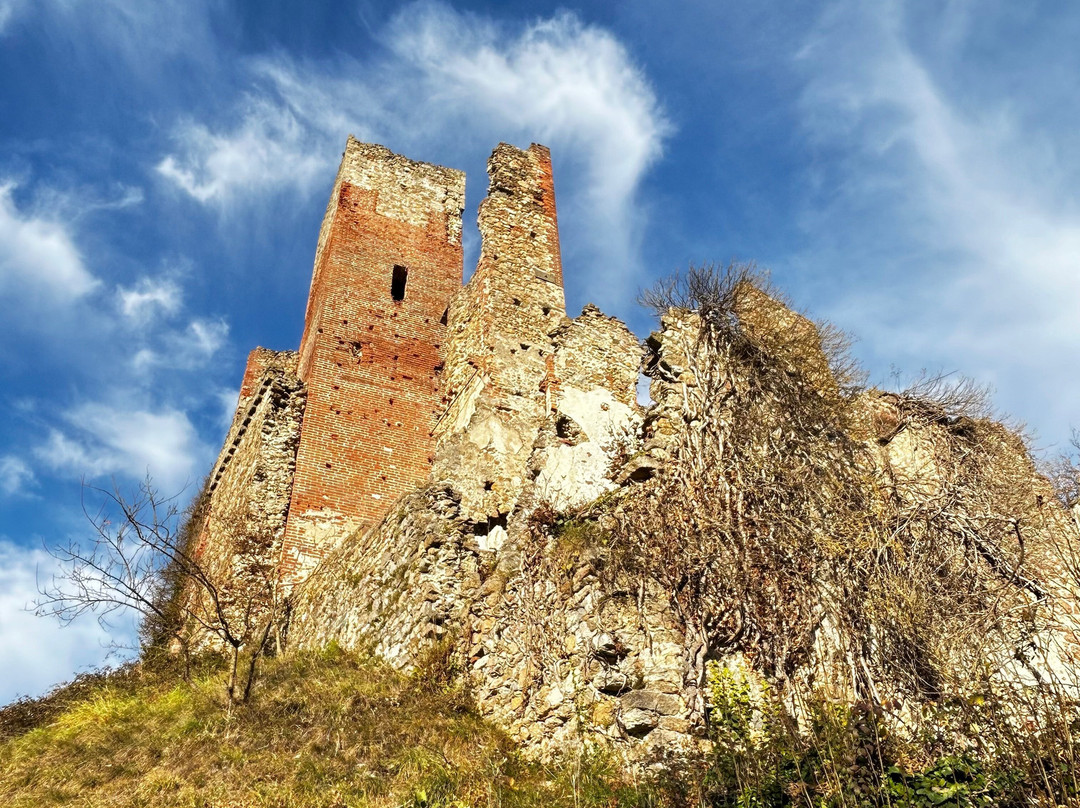 Castello degli Aleramo景点图片