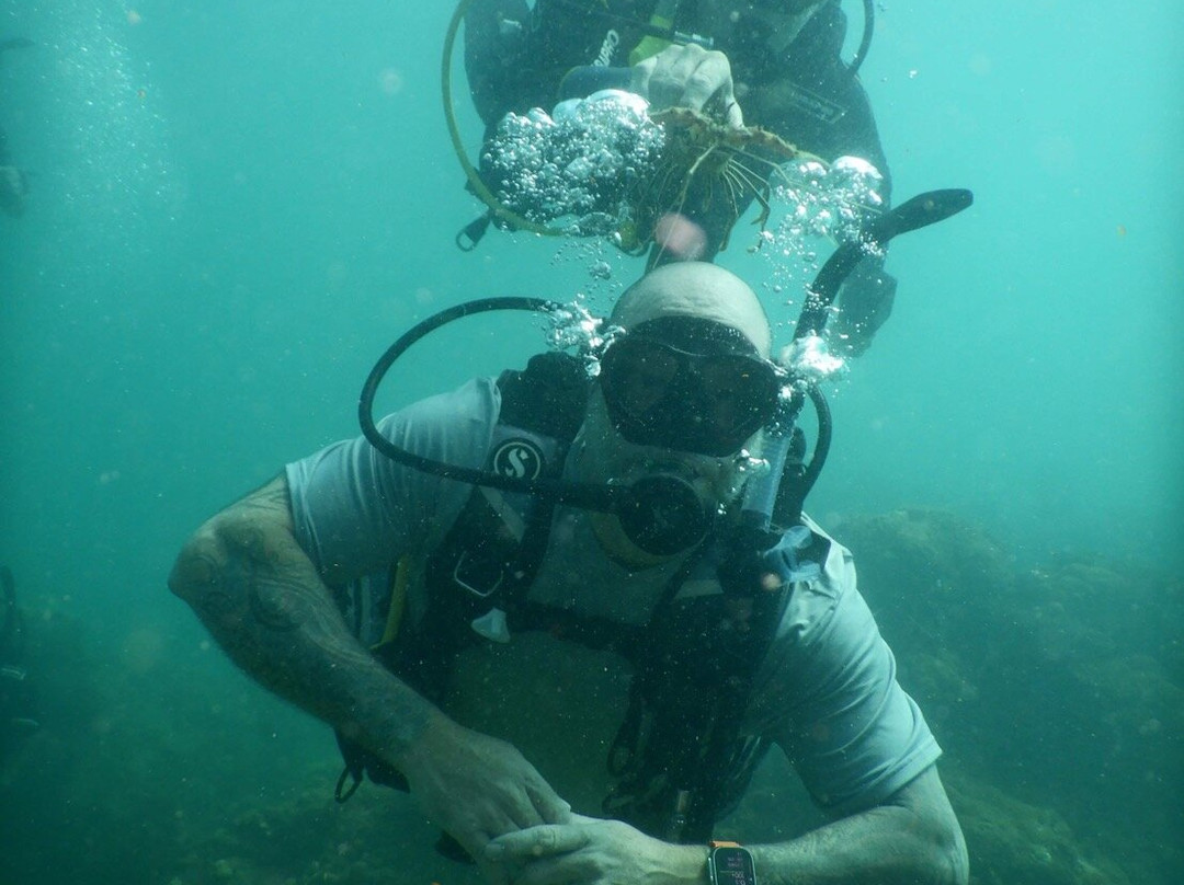 Pilbara Dive And Tours Pty Ltd-卡拉萨必去景点