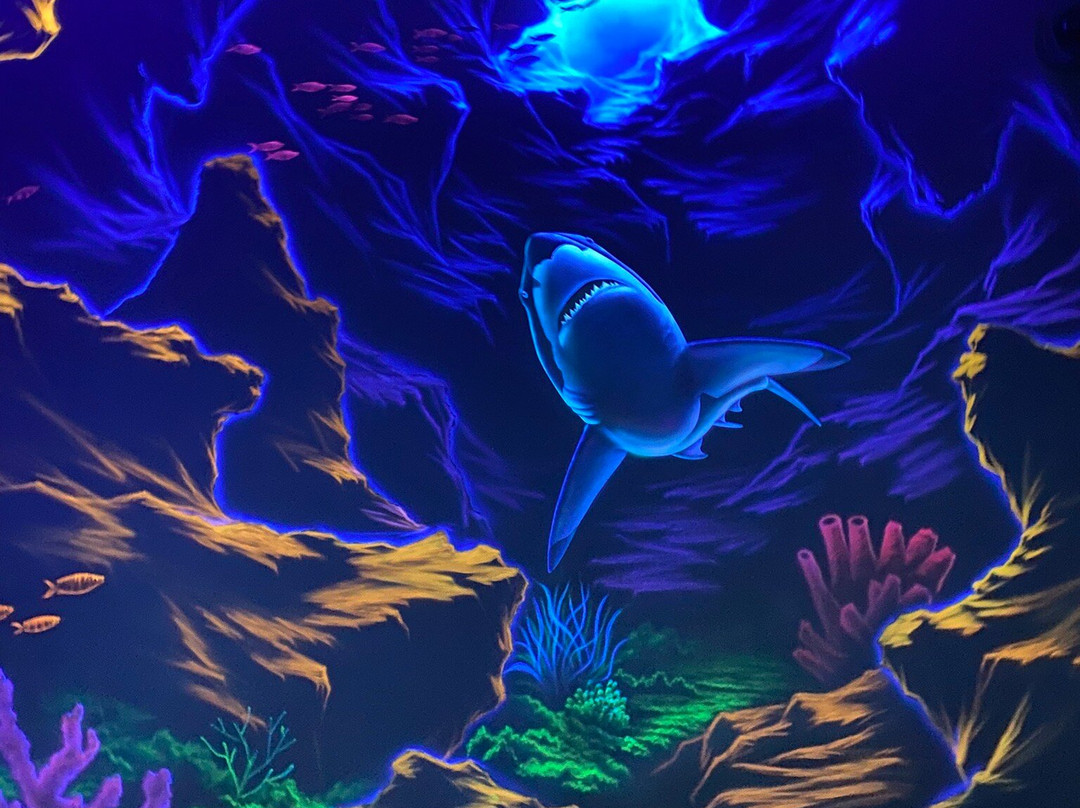 Sochi Discovery World Aquarium-Kurortny Gorodok必去景点