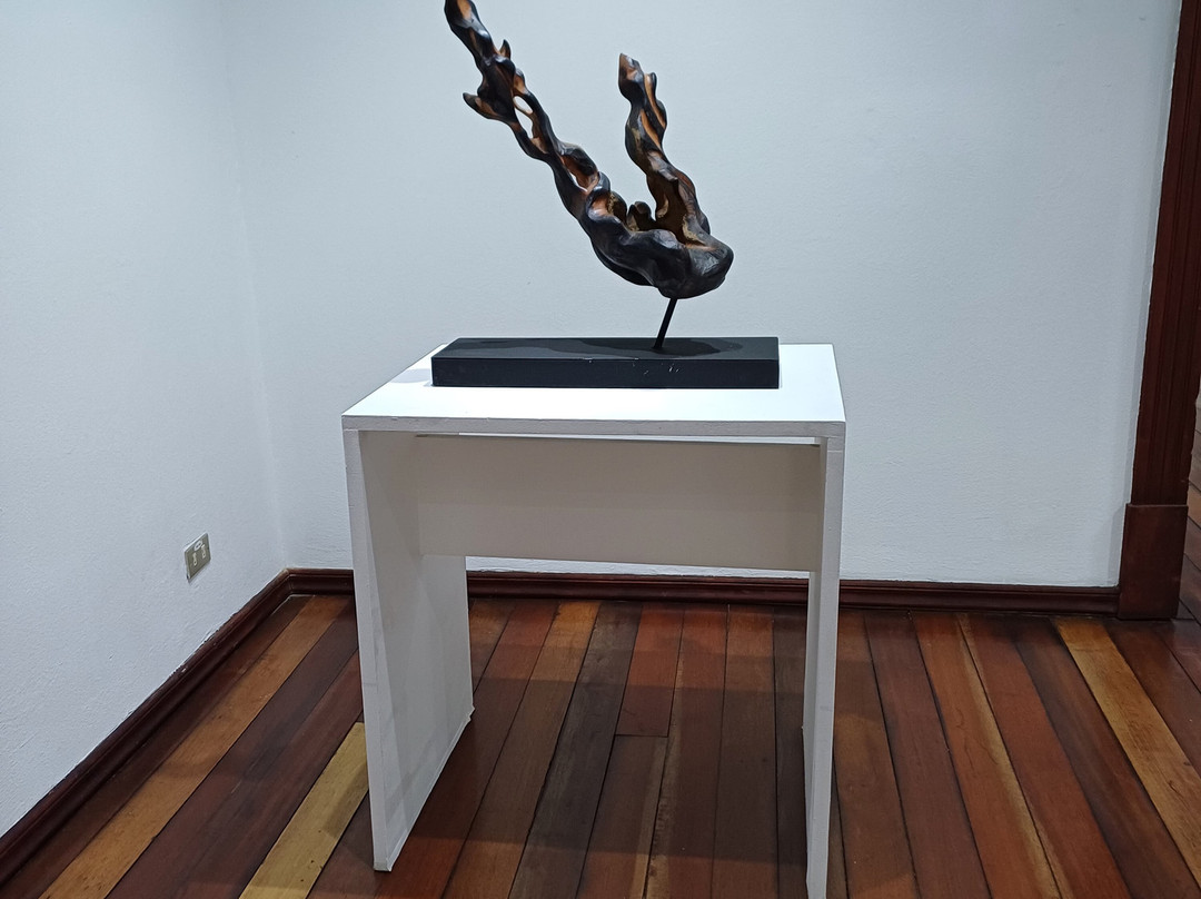 Museo Municipal de Cartago景点图片