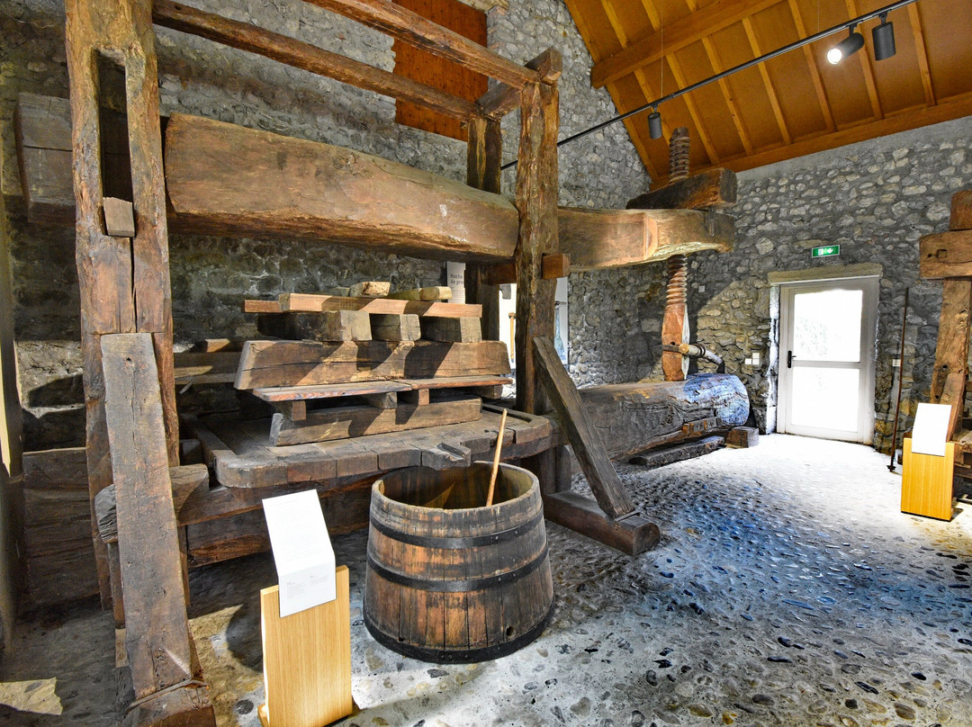 Musee de la vigne et du vin de Savoie景点图片