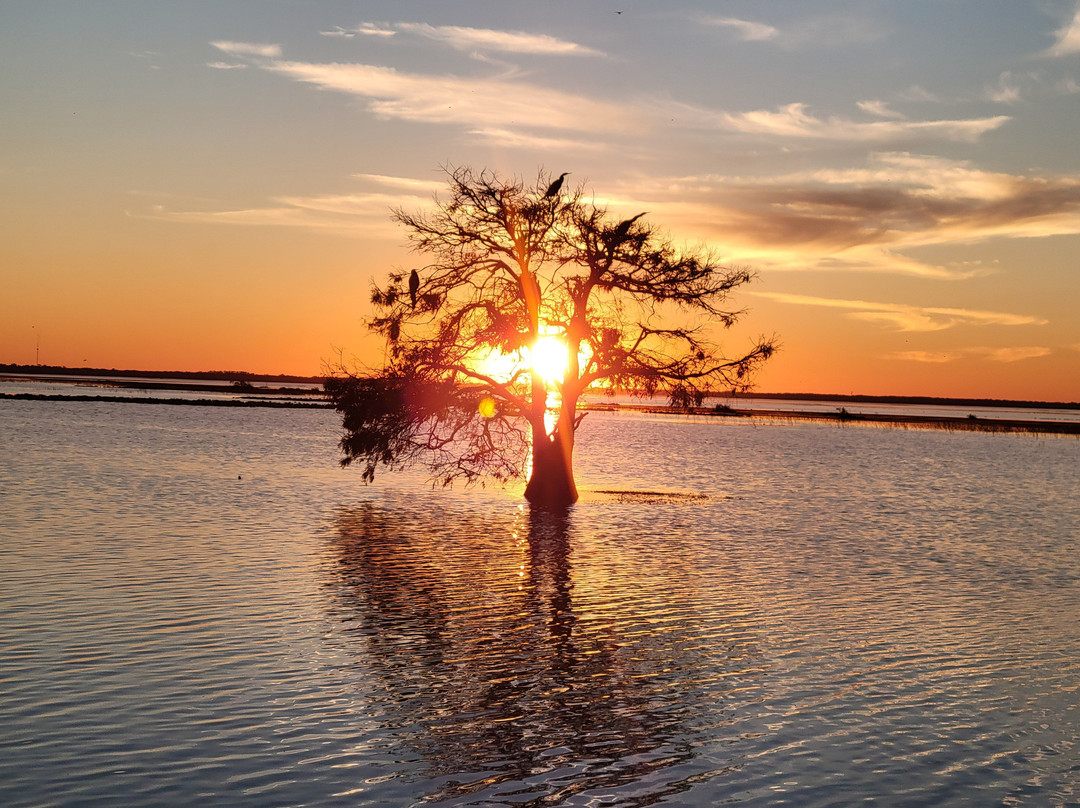 Boggy Creek Airboat Adventures-基西米必去景点