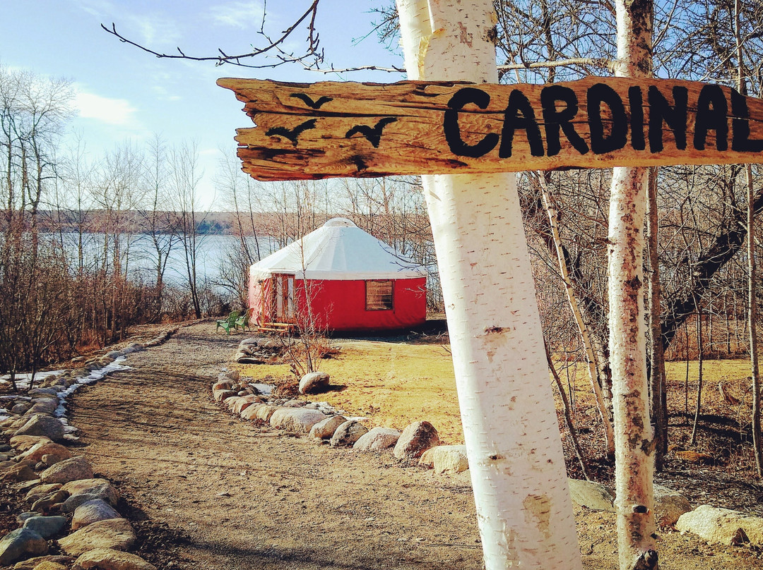 Stockton Harbor Yurts