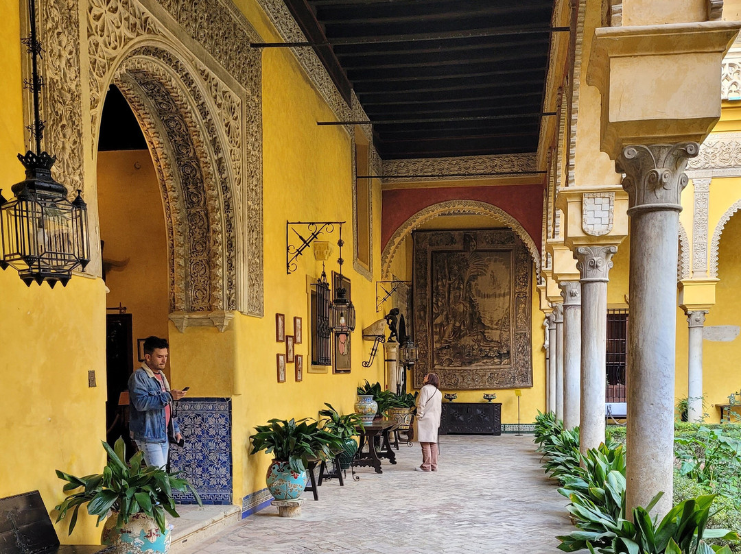Palacio De Las Duenas-塞维利亚必去景点