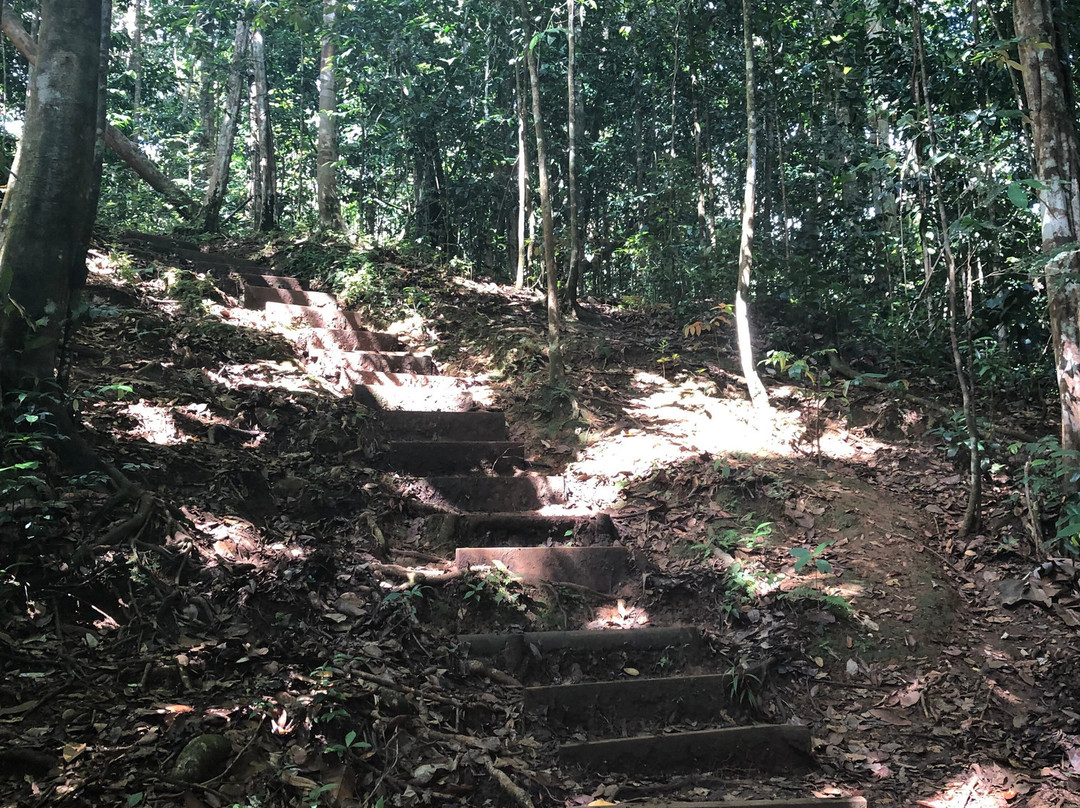 Saut des Trois Cornes-Sainte Rose必去景点