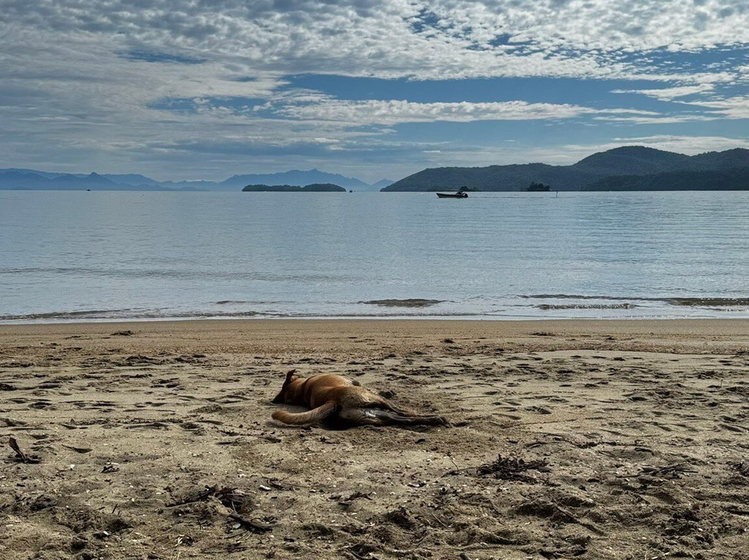 Pontal Beach景点图片