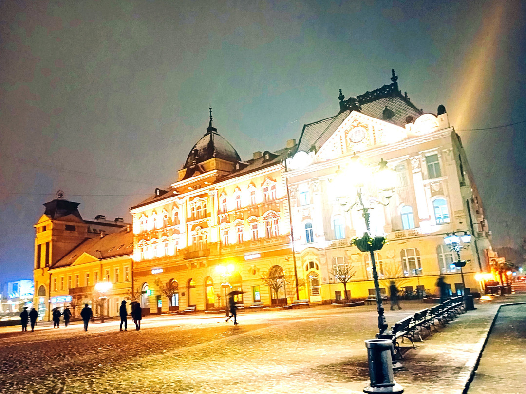 Albert Einstein and Mileva Maric memorial plate-诺维萨德必去景点