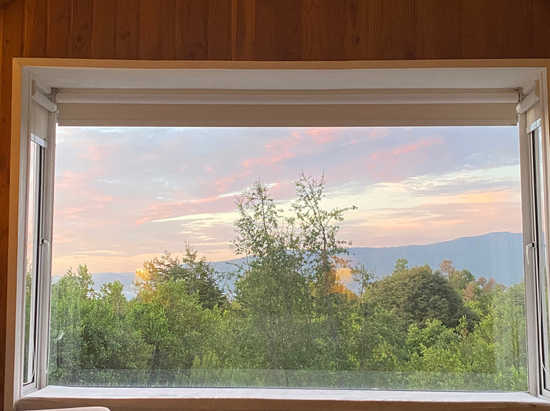 Hotel BambuLodge主图