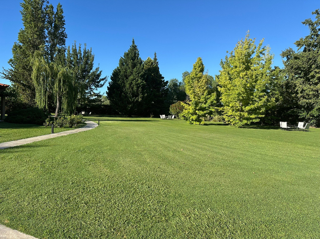 Posada Verde Oliva主图