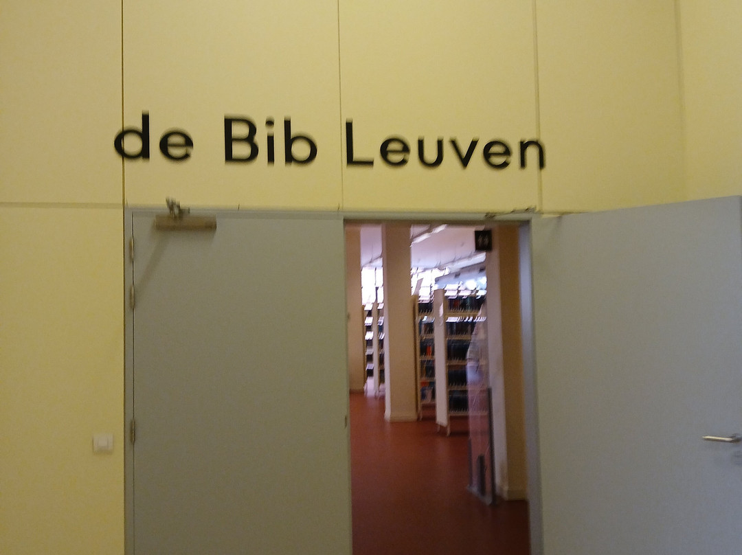 De Bib Leuven Tweebronnen景点图片