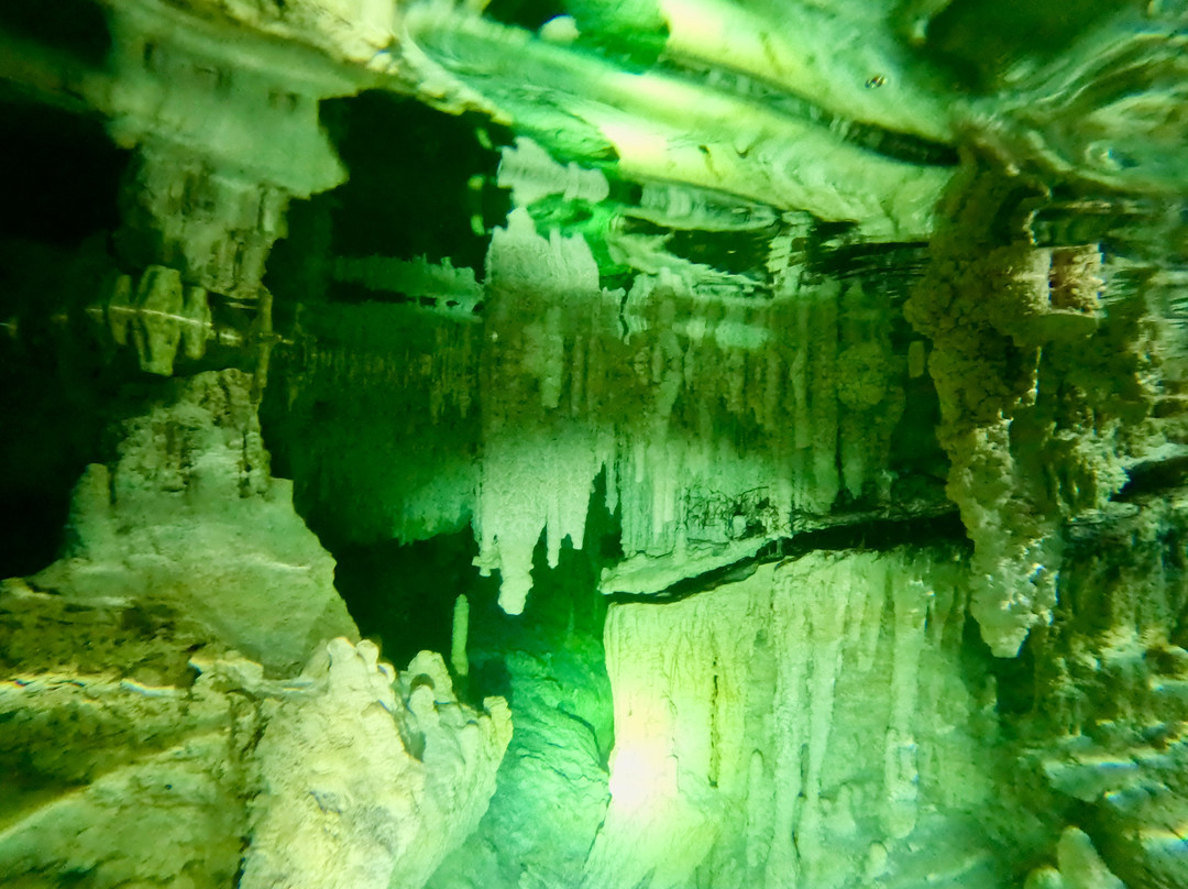 Monkeys Atvs Cancun-从莫雷洛斯港必去景点