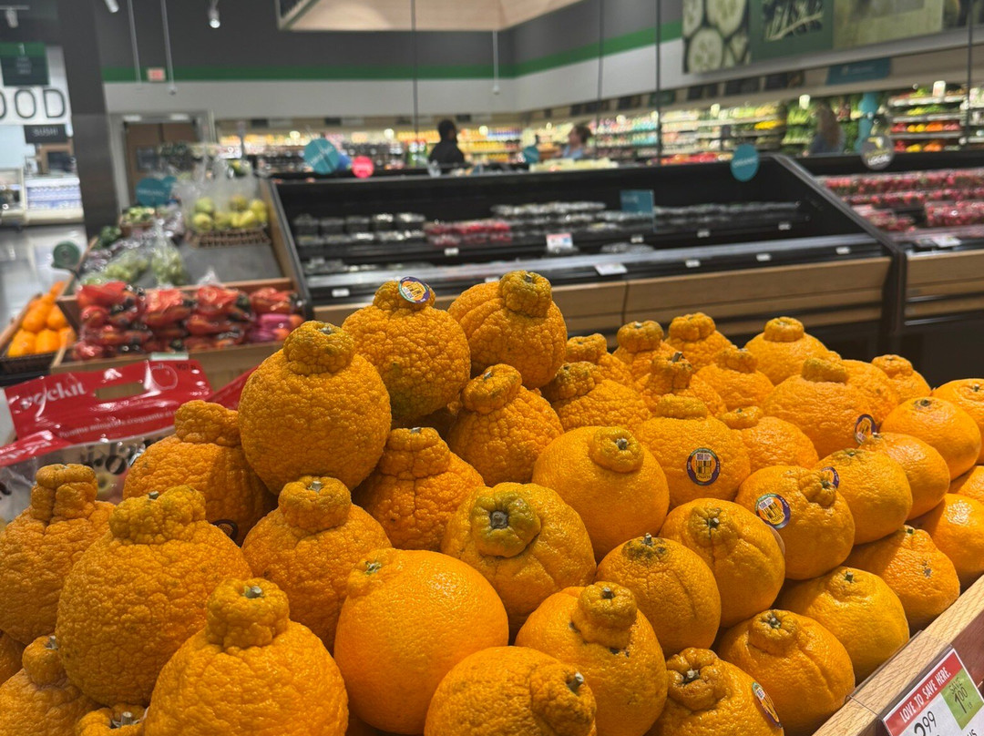 Publix Super Market At East Bay Plaza景点图片