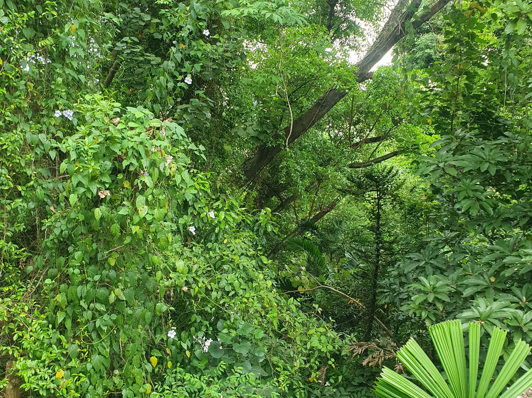 Imbiah Lookout-圣淘沙岛必去景点