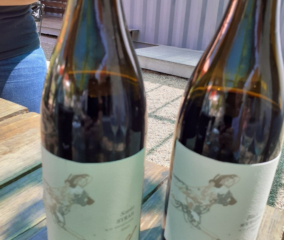 Painted Wolf Wines-帕尔必去景点