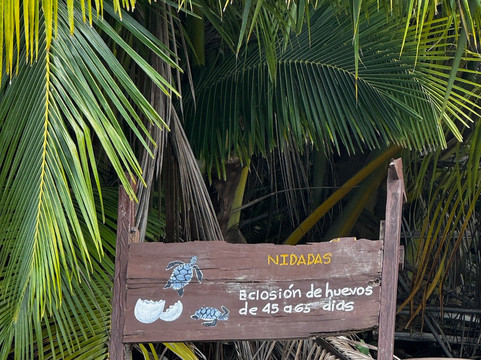 Parque Nacional Natural Gorgona-La Gorgona必去景点