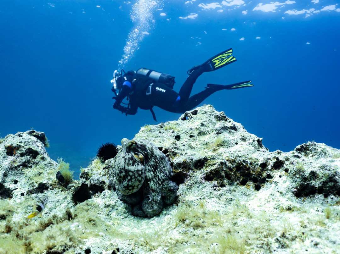 Scubaneo-阿库迪亚必去景点