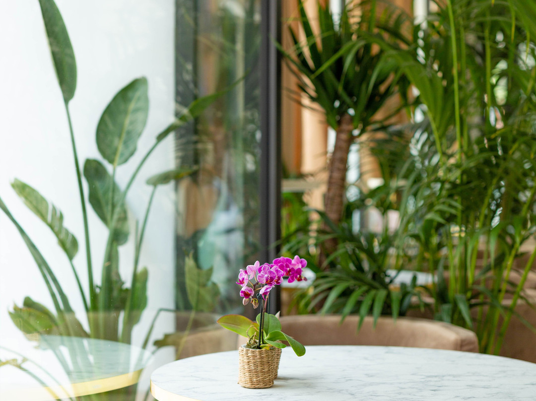 罗克博鲁尔酒店主图