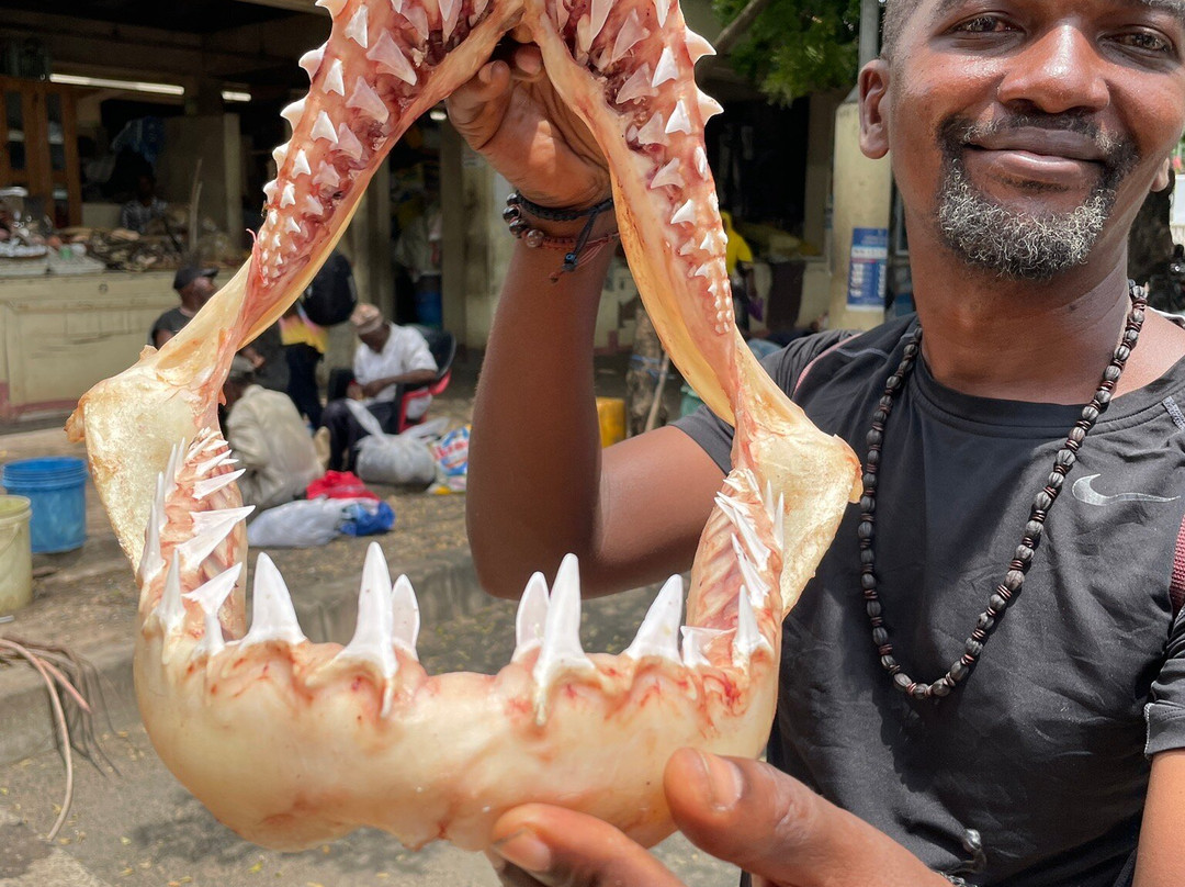 Sajawa  Tours-Dar es Salaam必去景点