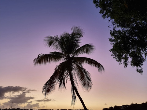 艾平兰斯小屋主图