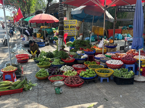 杰瑞丛林之旅-富国岛必去景点