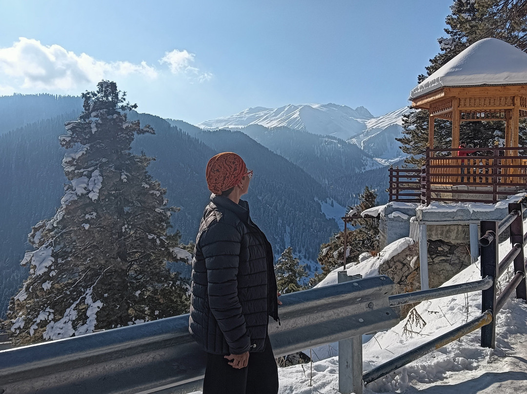 Grand Mumtaz Resorts Gulmarg主图