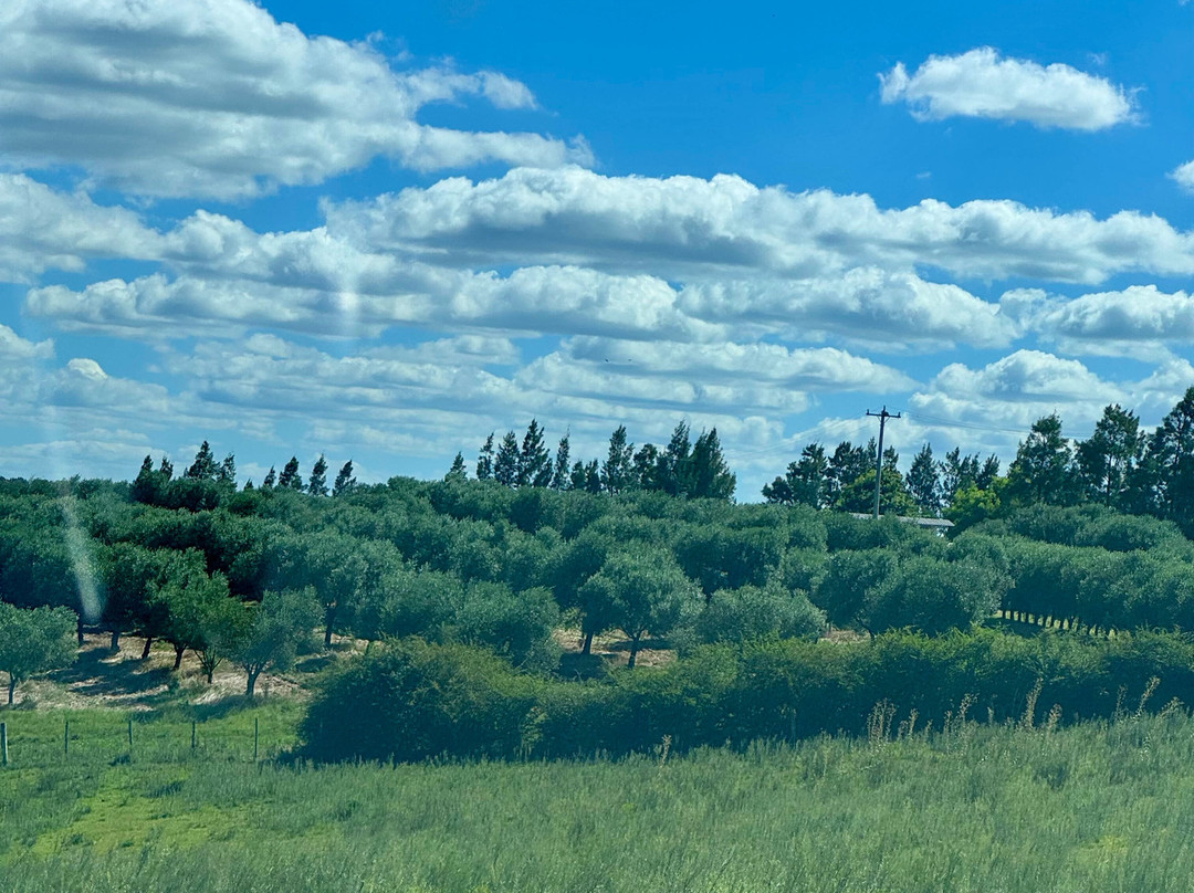 Azeites Ouro de Sant'Ana-Santana do Livramento必去景点