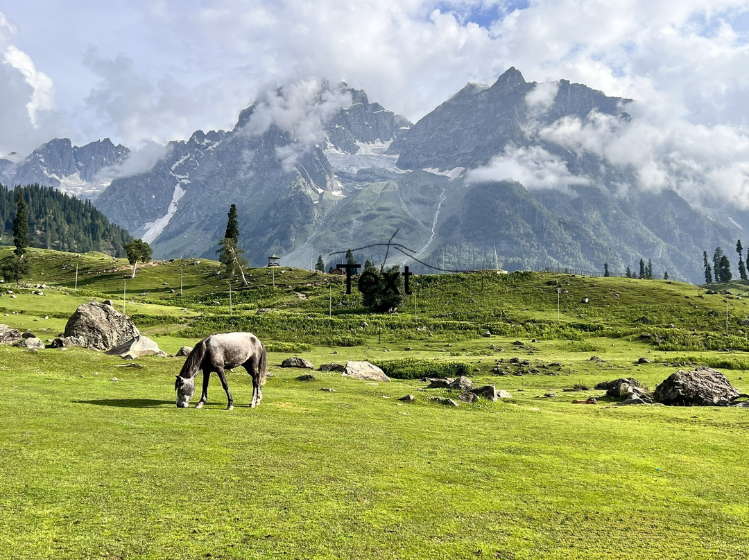 Himalayan Pride Land-斯利那加必去景点