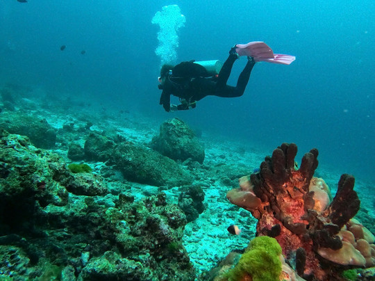 Go2Similan-库克卡克海滩必去景点