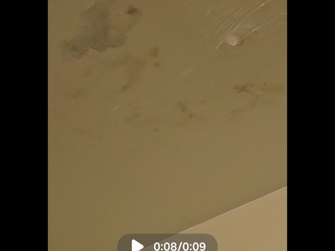 罗阿诺克拉匹兹希尔顿恒庭酒店主图