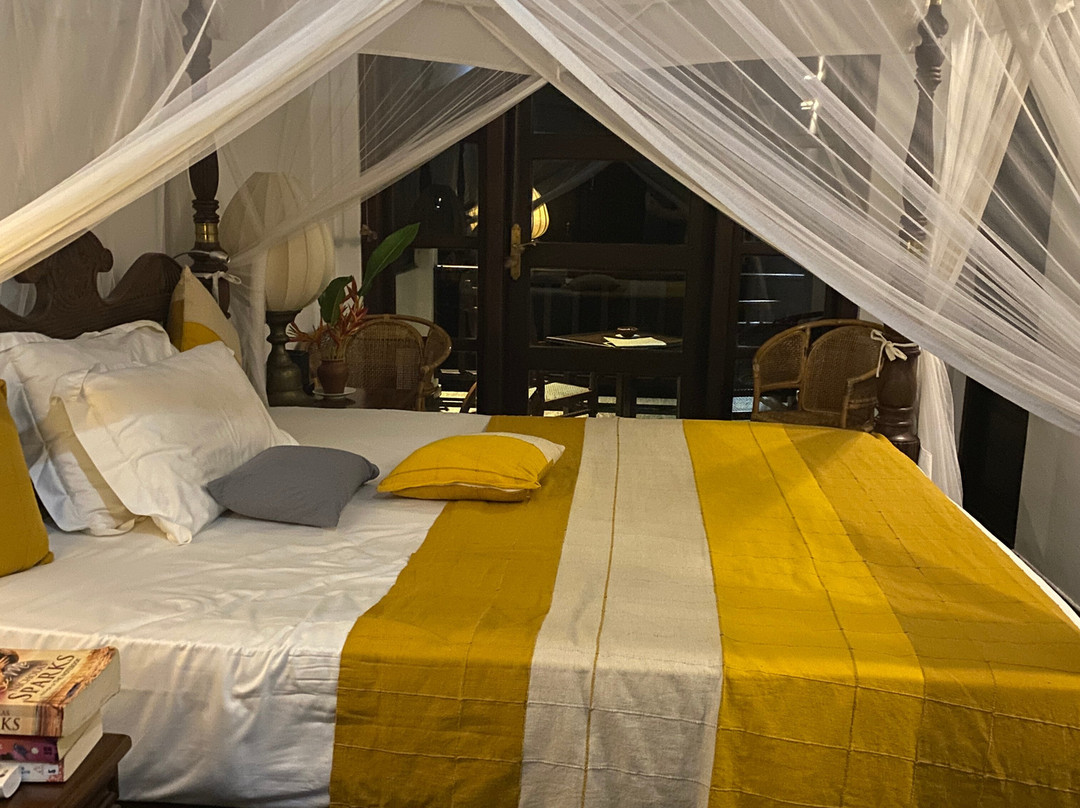 尼娅伽玛屋酒店主图