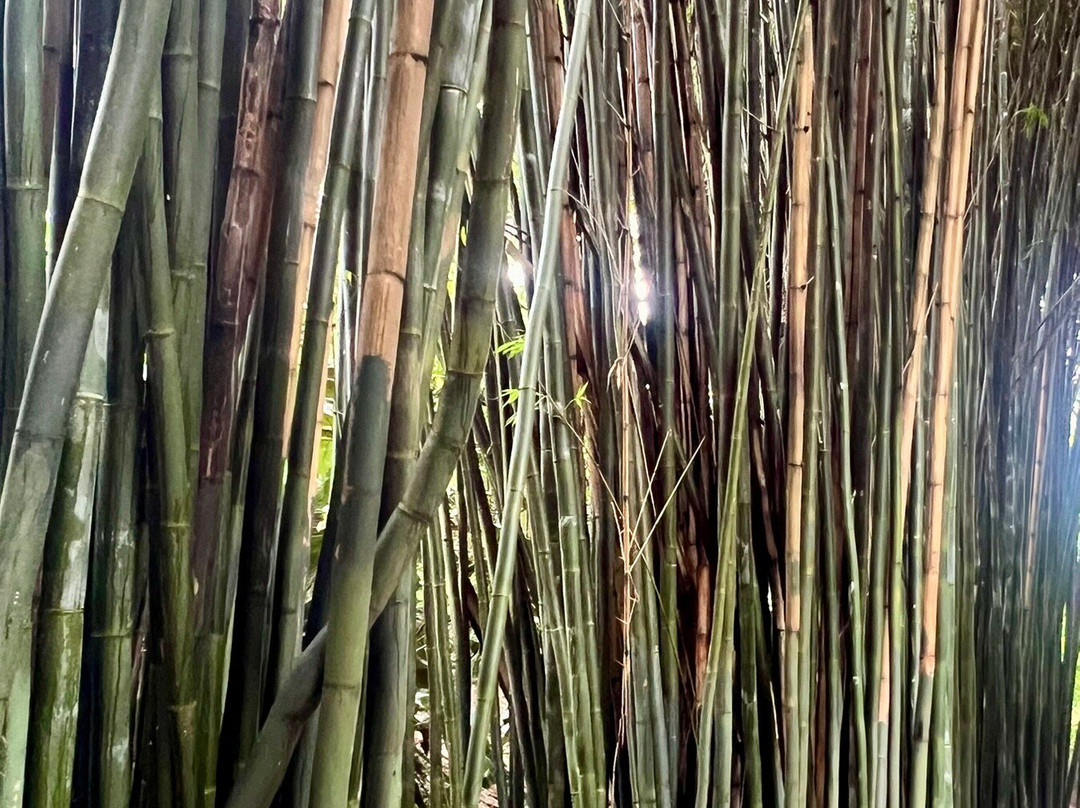 Crystal Castle & Shambhala Gardens-null必去景点